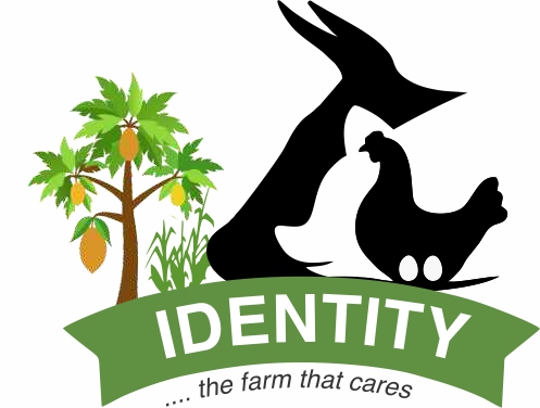 IDENTITY FARM-2