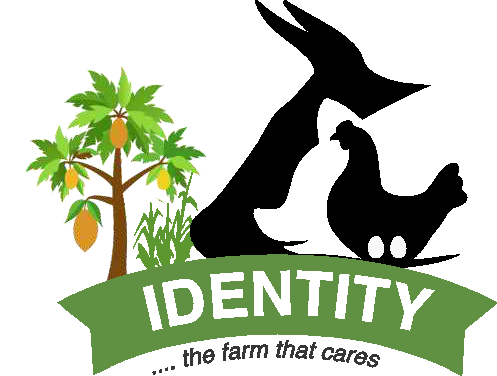 IDENTITY FARM-2